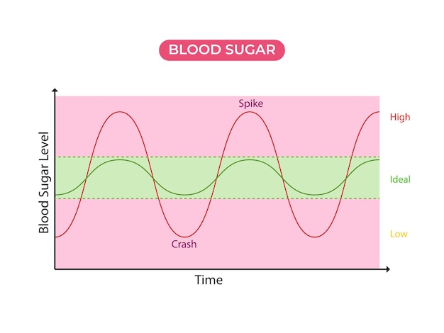 Poziom Równowagi Cukru We Krwi Cukrzyca Normalny Lub Idealny, Niski I Wysoki, Niestabilny Poziom Ze Skokami I Zmiażdżeniem