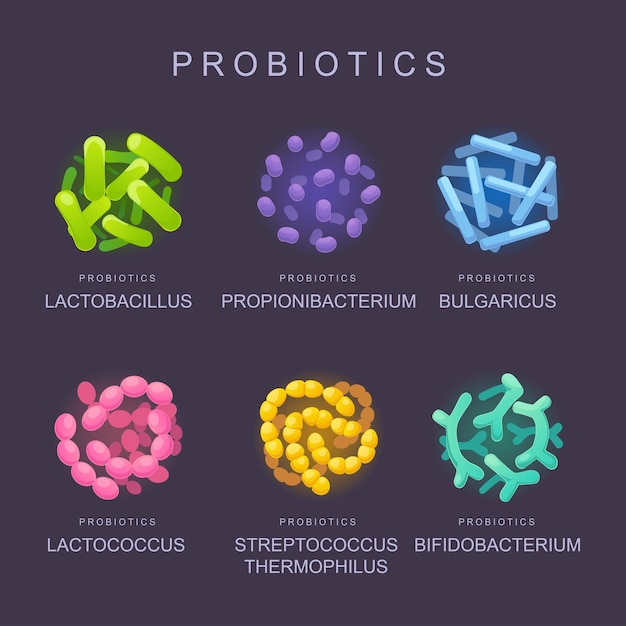 Pożyteczne Bakterie Probiotyki Mikroorganizmy Dla Zdrowia Człowieka