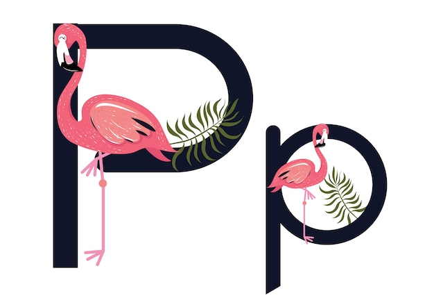 Pp Flamingi