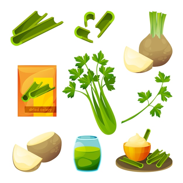 Plik wektorowy produkty spożywcze i warzywa z selera