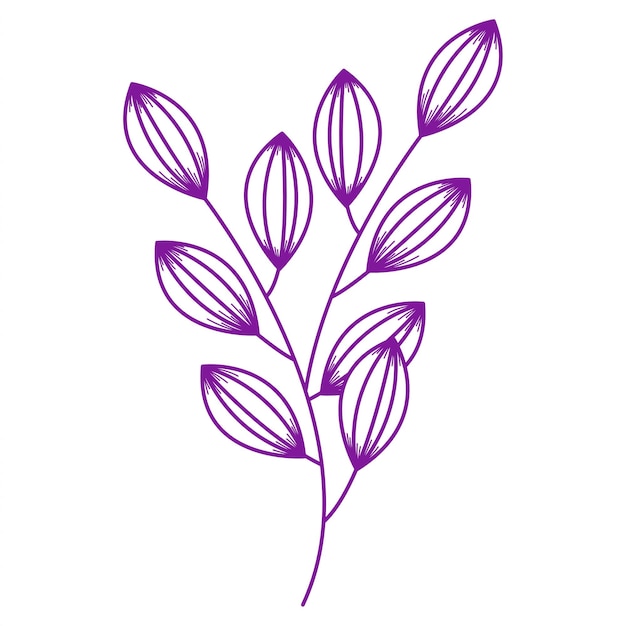 Projekt elementów botanicznych na przezroczystym tle