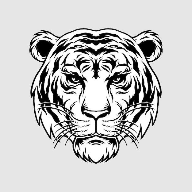 Projekt Ilustracji Szkic Głowy Tygrysa