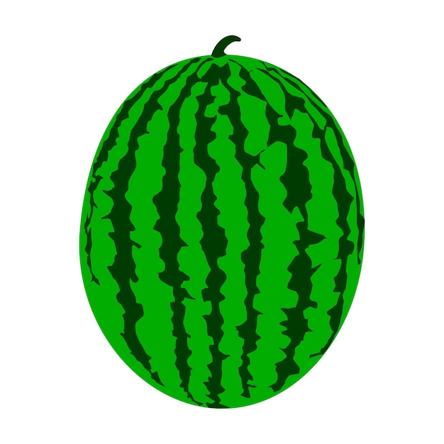 projekt ilustracji wektorowej ikony arbuza
