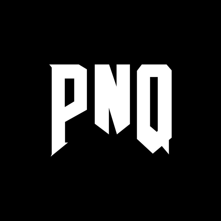 Wektor projekt logo dla firmy technologicznej pnq (kombinacja kolorów czarno-biały, wektor pnq, ikona pnq, alfabet pnq, typografia pnq)