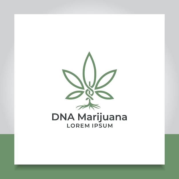 Projekt Logo Marihuany Dna Lub Helisy Liść Ziołowy Dla Leku Laboratoryjnego