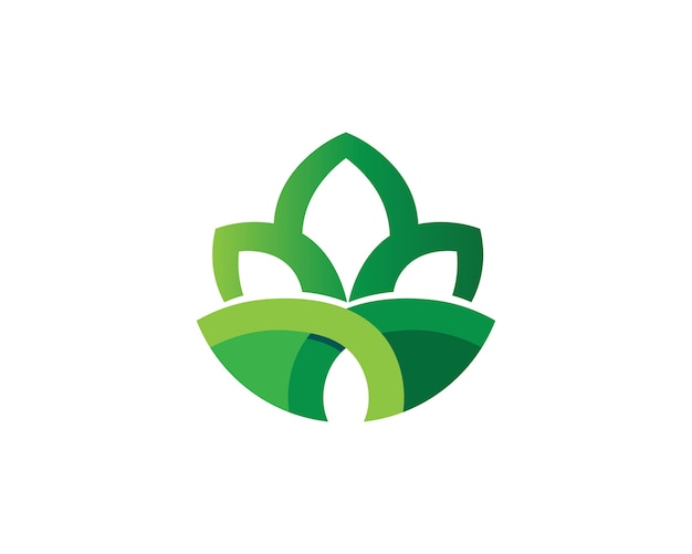 Projektowanie Logo Liść Drzewa Wektor