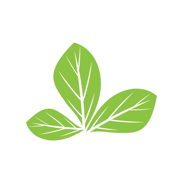 Projektowanie Logo Natura Ilustracja Zielony Liść