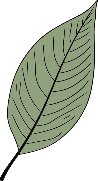 Plik wektorowy projektowanie za pomocą finesse leaf vector art unleasheddiving into leaf vector illustration techniques