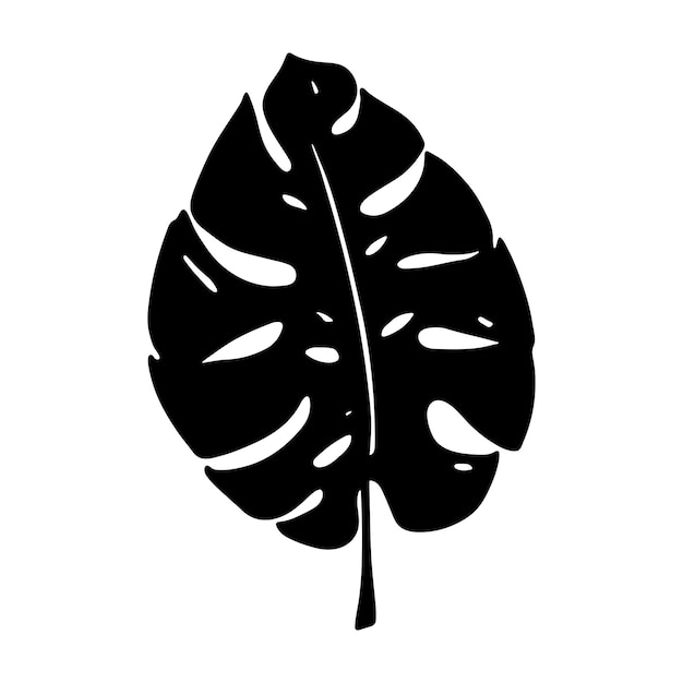 Prosta Tropikalna Ilustracja Liści Monstera Ręcznie Rysowane Wektor Clipart Botaniczny Doodle