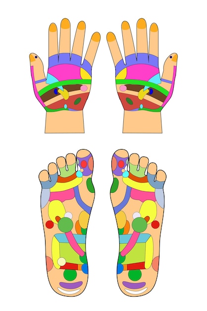 Plik wektorowy proste wektor stóp i dłoni tradycyjne alternatywne leczenie akupunktury na białym tle