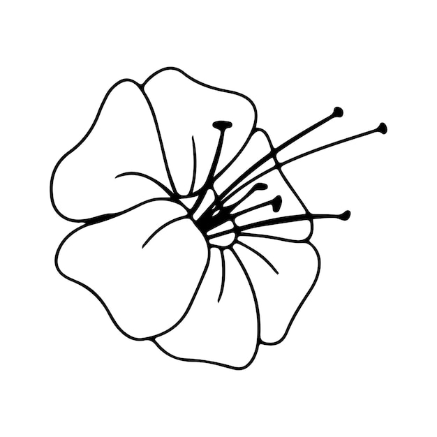 Prosty Kwiat Letnie Rośliny Ilustracja Wektorowa Na Białym Tle