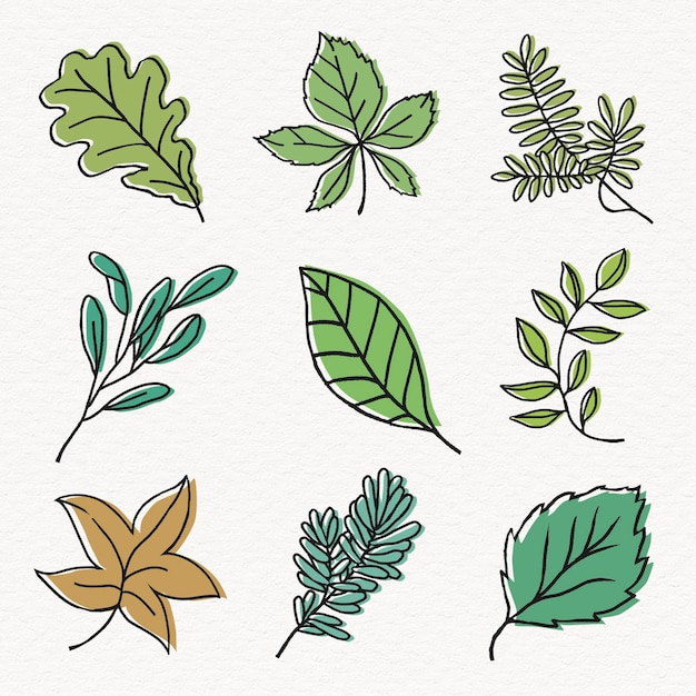 Prosty wektor zestawu elementów collage leaf line art