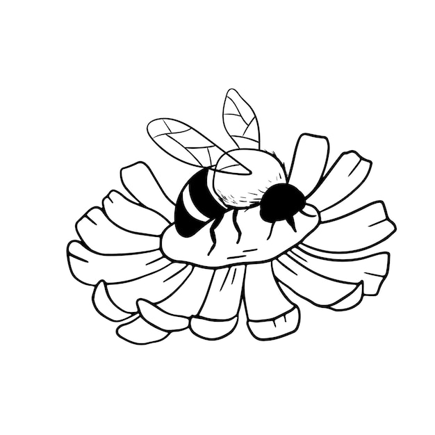 Pszczoła Miodna Na Kwiat Na Białym Owad W Stylu Wyciągnąć Rękę Wektor Monochromatyczne Doodle Ilustracji