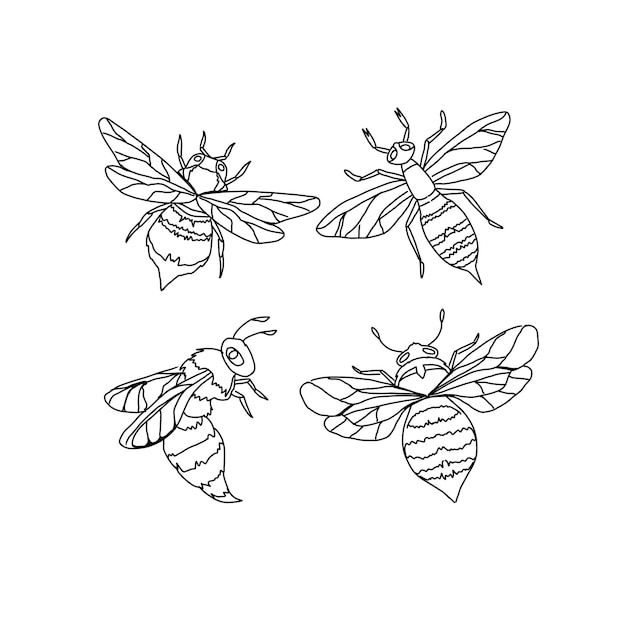 pszczoła ręcznie rysowane doodle ilustracje wektor zestaw