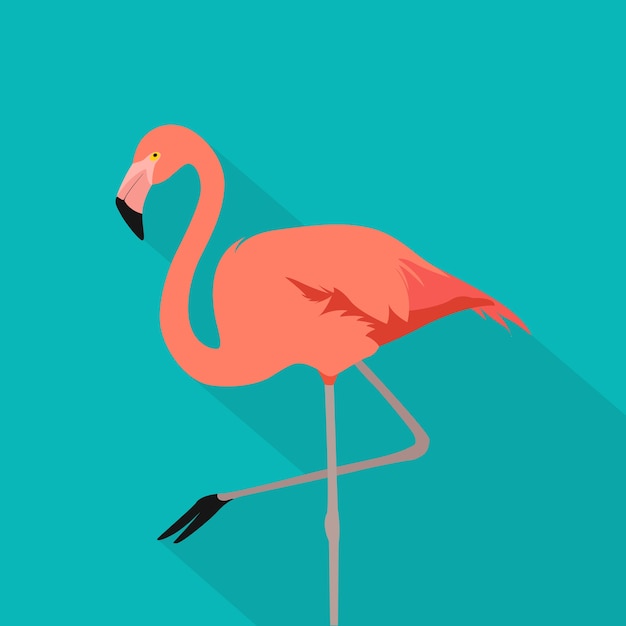 Ptak Flamingo. Flamingo Stoi Na Jednej Nodze