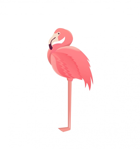 Plik wektorowy ptak flamingo