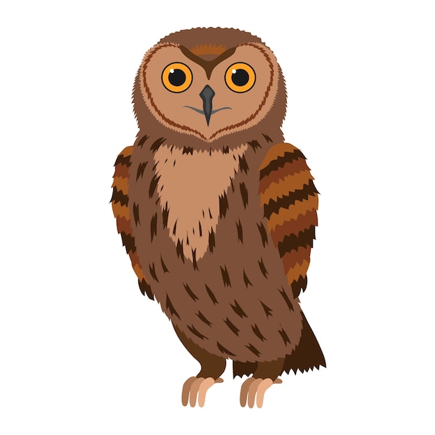 Ptak Owl.forest.