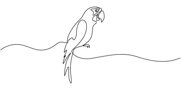 Ptak papuga w ciągłym stylu rysunkowym Macaw papuga siedząca minimalistyczna czarna liniowa