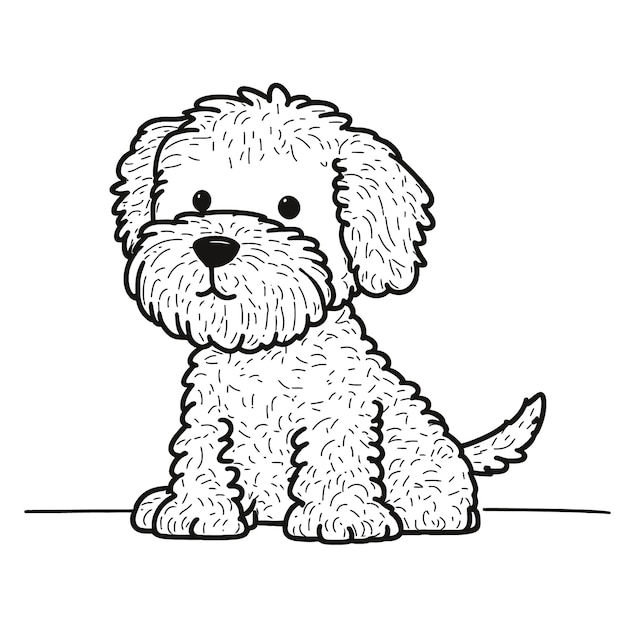 Pudel Miniaturowy Pies Pudel Czarny kolor w ilustracji wektorowych stylu szkicu