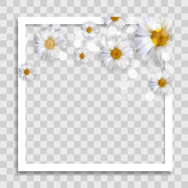 Plik wektorowy pusty szablon ramki na zdjęcia z wiosennymi kwiatami do postu w mediach w sieci społecznościowej