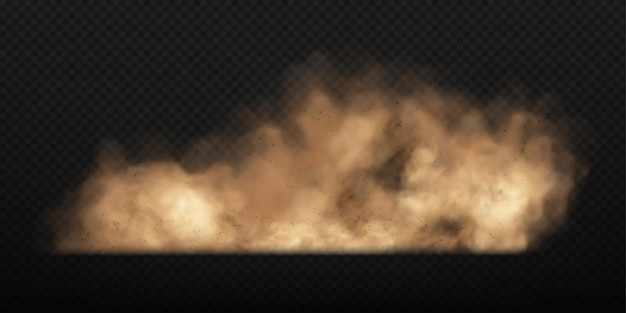 Pyłowa chmura piasku z kamieniami i latającymi zakurzonymi cząsteczkami na przezroczystym tle Brązowa zakurzona chmura lub suchy piasek latający Realistyczna ilustracja wektorowa