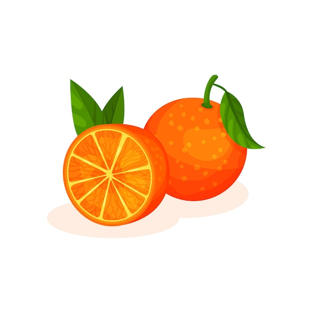 Plik wektorowy pyszne soczyste pomarańcze wektor ilustracja na białym tle