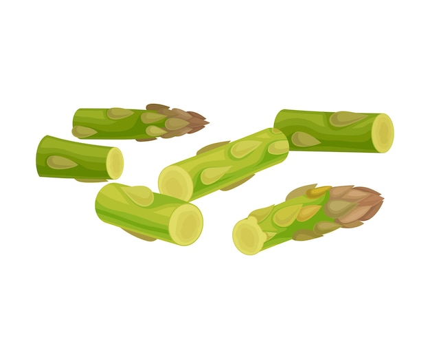 Plik wektorowy pyszne świeże zielone szparagi wyodrębnione na białym tle ilustracja wektorowa koncepcja składników posiłku wegetariańskiego