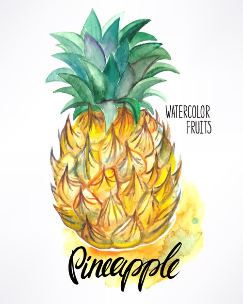 Pyszny Dojrzały Ananas Akwarela. Ręcznie Rysowane Ilustracji