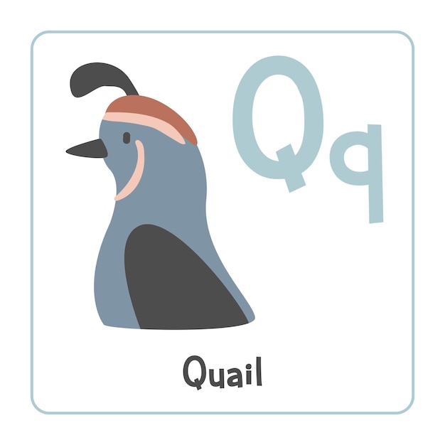 Quill Clipart Quill Vector Illustration Cartoon Flat Style Zwierzęta Zaczynające Się Od Litery Q