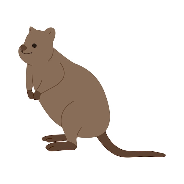 Quokka pojedynczy 1
