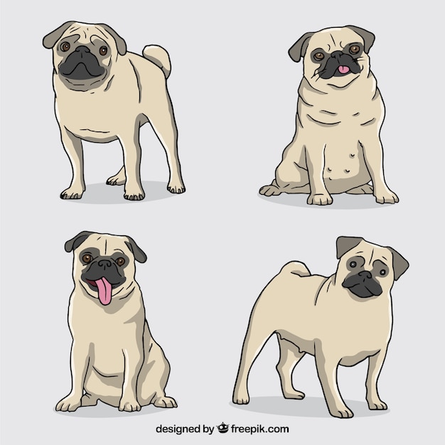 Rã³å¼ne Rę Cznie Rysowane Pugs