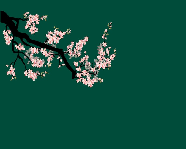Rama Akwarela Sakura