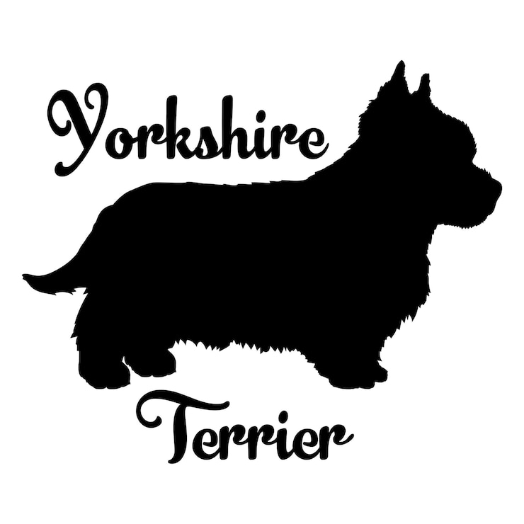 Wektor rasa zwierząt domowych z wektorową sylwetką yorkshire terrier