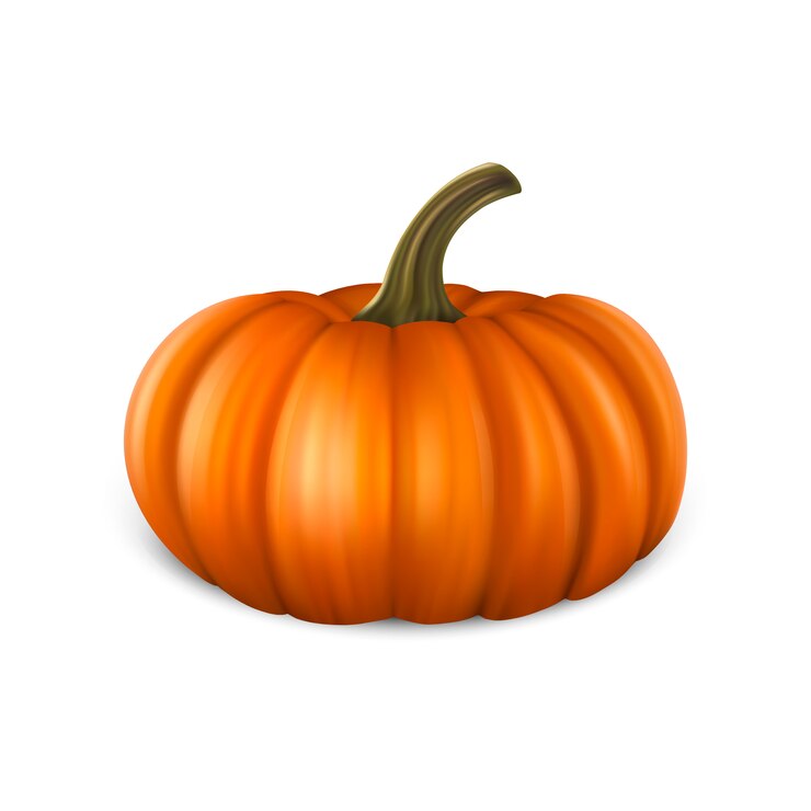 Wektor realistyczna bania odizolowywająca na białym tle. halloweenowa ilustracja