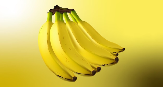Realistyczna ilustracja wektorowa owoców bananów