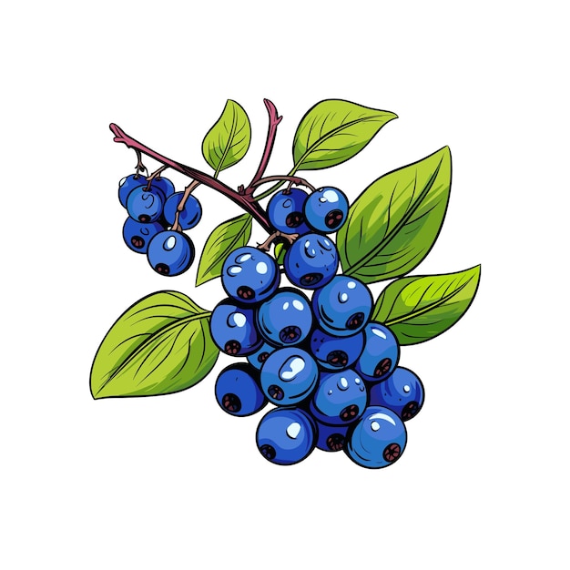 Realistyczna Ilustracja Wektorowa Owoców Blue Berry