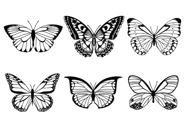 Realistyczna kolekcja motyli Czarny kolor butterflis na białym tle Ilustracja wektora