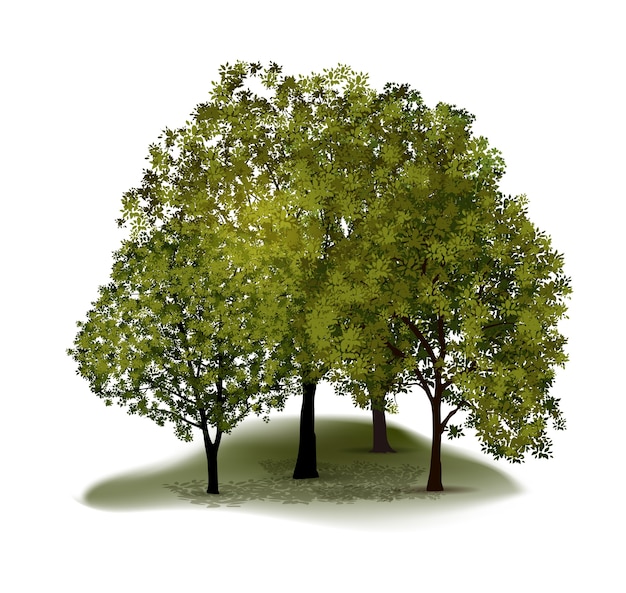 Plik wektorowy realistyczna kompozycja drzew