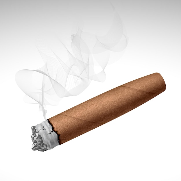 Plik wektorowy realistyczne cygaro palenia na białym tle