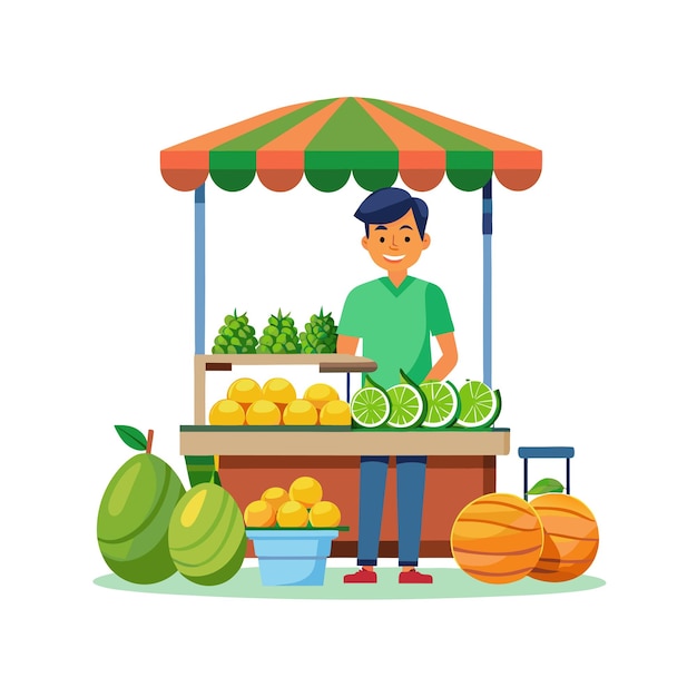 Realistyczne koncepcje ilustracji wektorowej owoców
