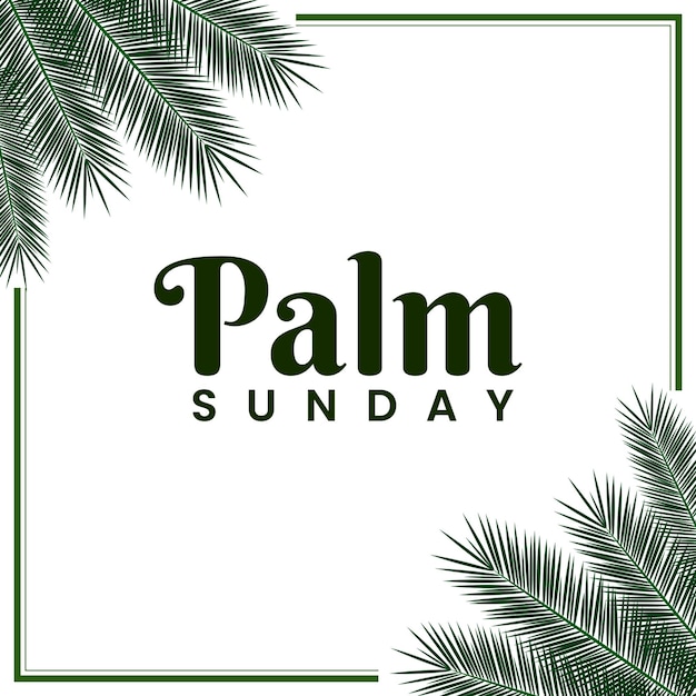Plik wektorowy realistyczne liście palmowe ramki na obraz niedzieli palmowej