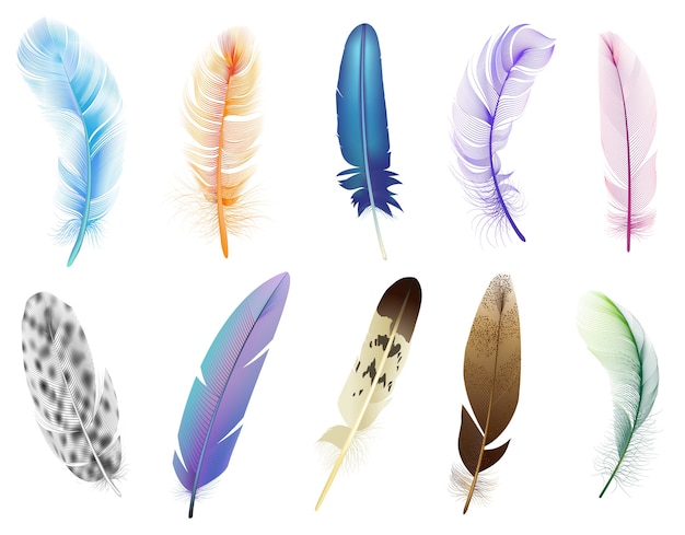 Realistyczne pióra. Ptaki kolorowe spadające puszyste pióra, zestaw ikon miękkich piór pływających ptaków. Puszyste i upierzenie, ilustracja spadająca piórko