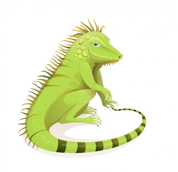 Realistyczne Ręcznie Rysowane Kreskówka Iguana. Zielona Egzotyczna Dżungla I Lasy Deszczowe Ilustracja Zoologia Gadów. Izolowane Zwierzę I Kręgowiec Clipart.