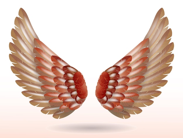 Plik wektorowy realistyczne tęczowe skrzydła anioła na białym tle ilustracja 3d