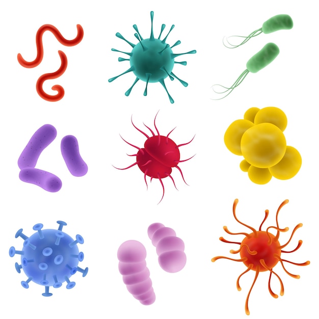 Realistyczne Typy Wirusów Kształty Mikroorganizmów Bakterie Zarazki I Bakterie Grypy I Covid19 Laboratorium Nauki Biologicznej Kolorowe Obiekty Mikrobiologiczne Wektor Izolowany Na Białym Tle Zestaw
