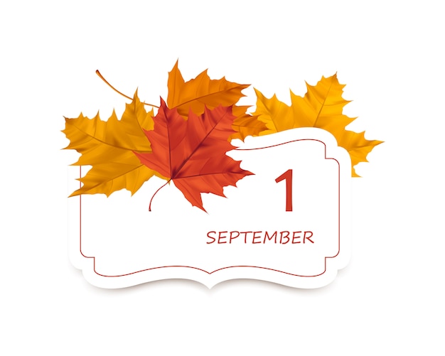 Plik wektorowy realistyczne wektor jesień liście klonu i karty z miejscem na tekst.