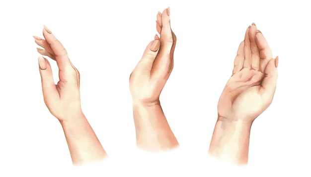 Ręce białej kobiety z porządnym nagim manicure z boku i widoku z góry wdzięczne i delikatne gesty ręki