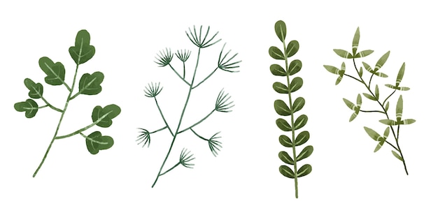 Ręcznie malowane ilustracje botaniczne liście i jeżyny Projekt i druk