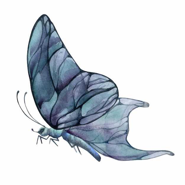 Plik wektorowy ręcznie narysowana ilustracja akwarelowa butterfly fairy wings gem crystal insect moth amethyst charoite fluorite ametrine pojedynczy obiekt izolowany na białym tle projekt drukarni ślub urodziny