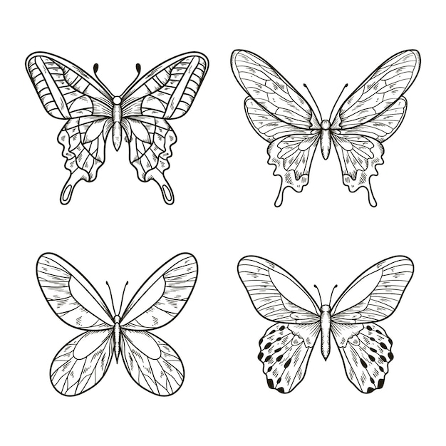 Ręcznie narysowana ilustracja motyla